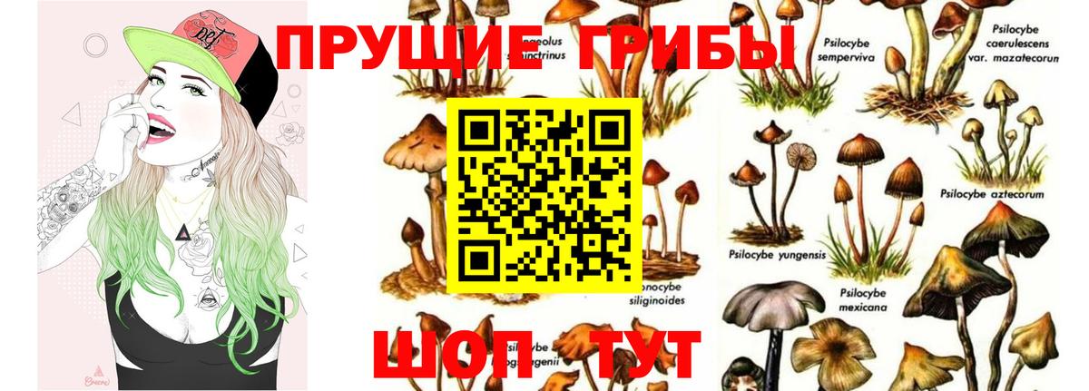 Псилоцибиновые грибы ЛСД  Галлюциногенные грибы GOLDEN TEACHER  наркошоп  Вход с VPN  Мариинск 