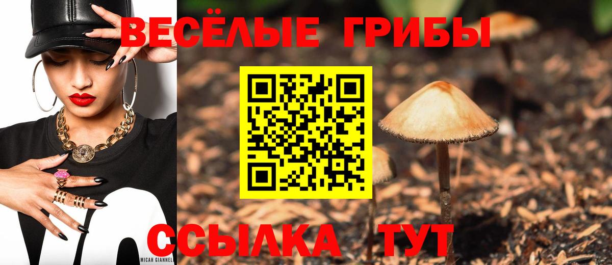 Псилоцибиновые грибы GOLDEN TEACHER Мариинск